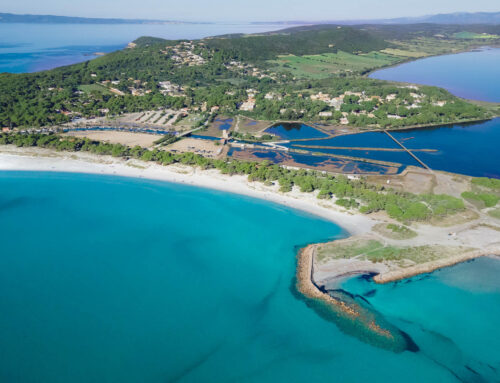 Porto Pino